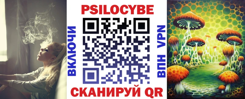 что такое наркотик  Зеленоградск  Галлюциногенные грибы Psilocybine cubensis 